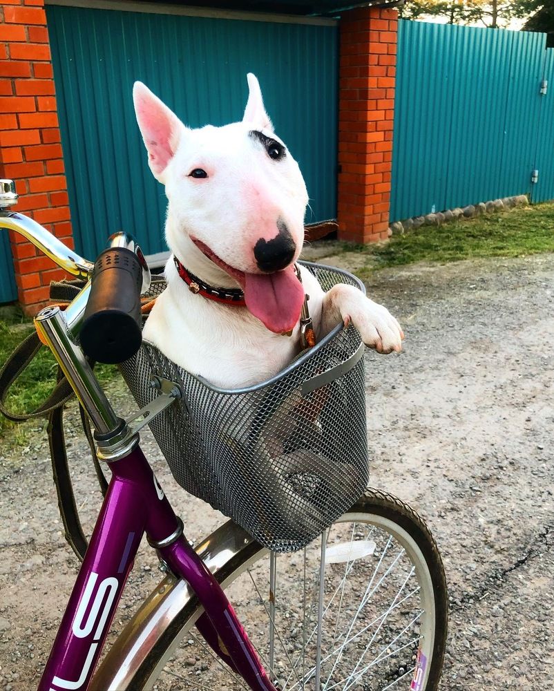 Photograph by Елена Шкред