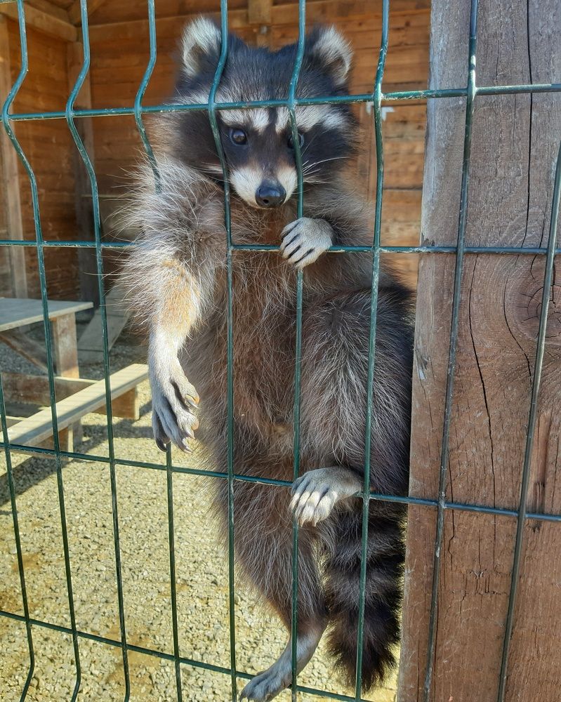 Photograph by Оксана