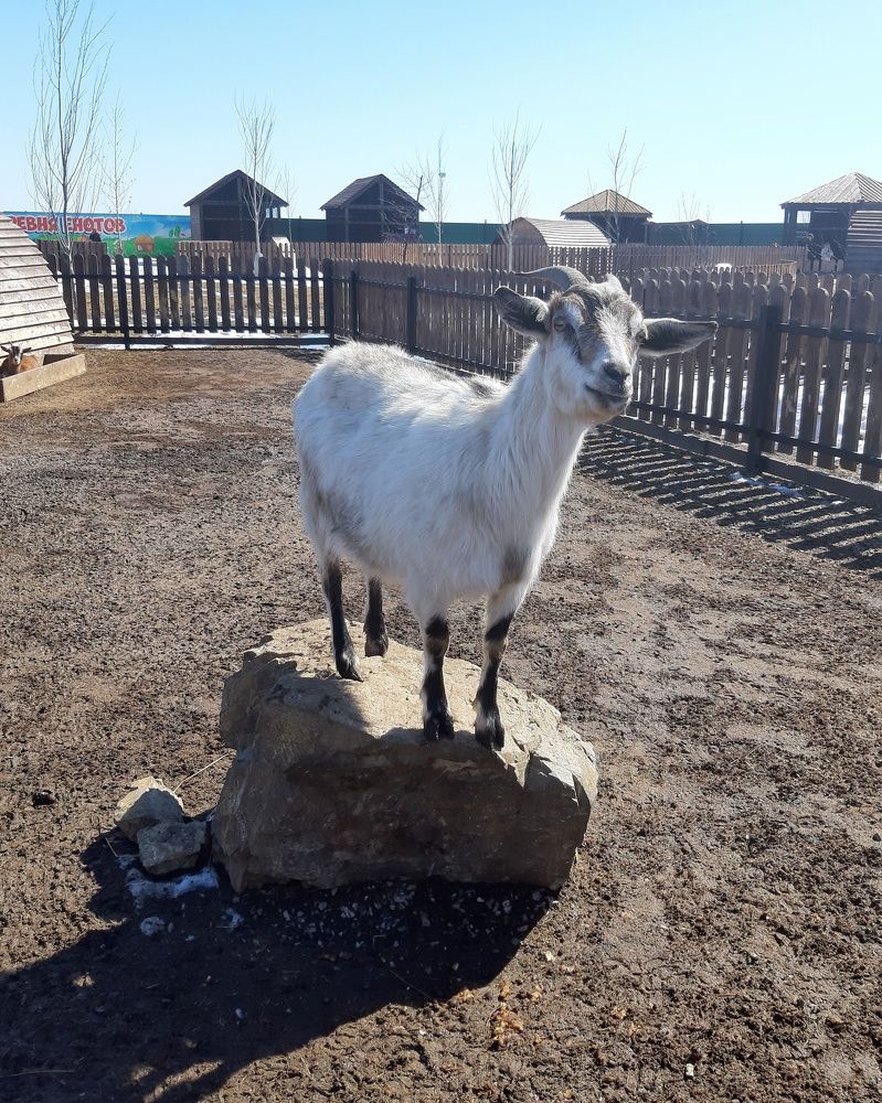 Photograph by Оксана