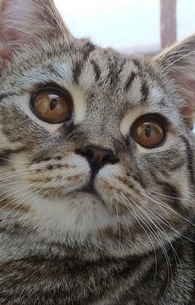 Photograph by evgeniya bazhukova