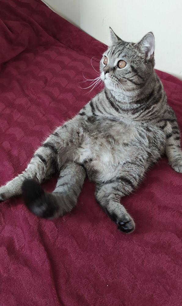 Photograph by evgeniya bazhukova