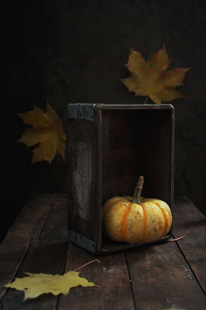 Фотография автора Svetlana Inyusheva