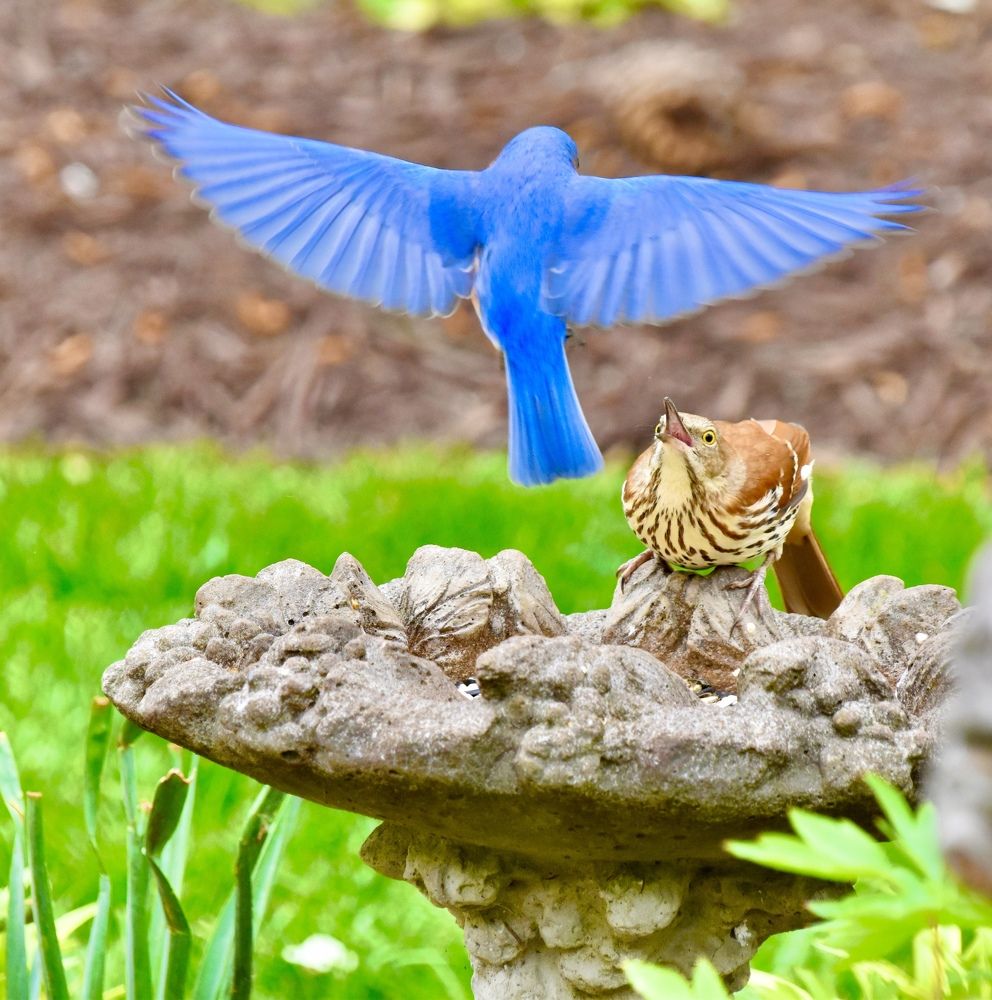 Watch what I can do!