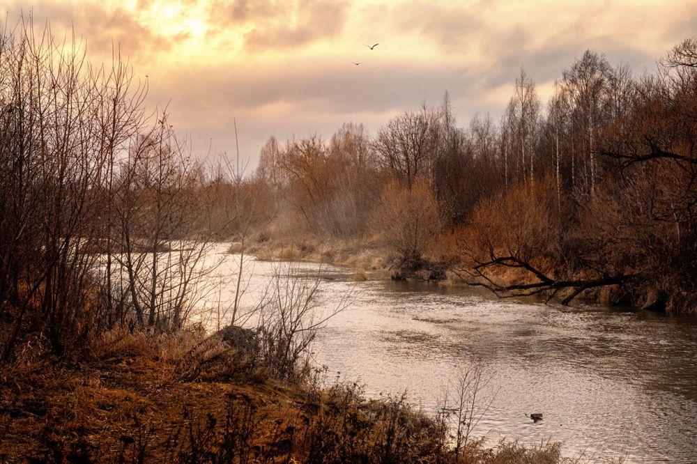 Photograph by Алена Устинович