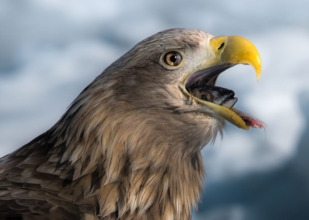 Photograph by Hiroki Matsubara