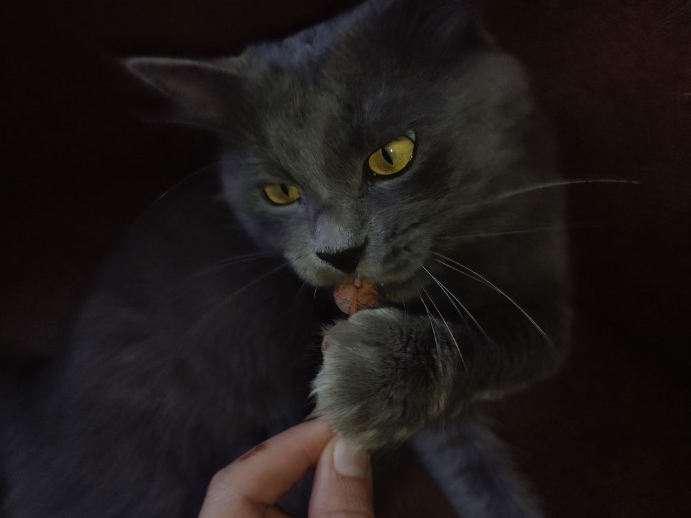 Photograph by Анастасия Кудина