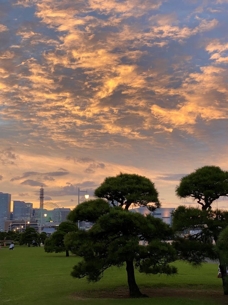 Фотография автора Бакалова Ирина