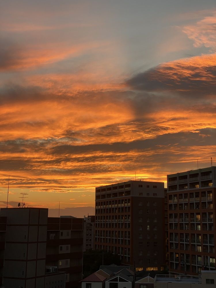 Фотография автора Бакалова Ирина