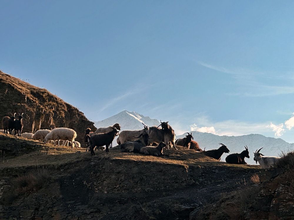 Photograph by Алексей Поляков