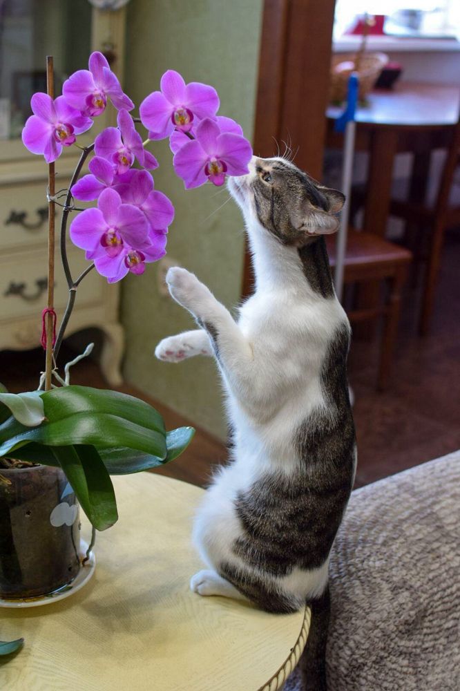 Photograph by Марина Корреа Ластра