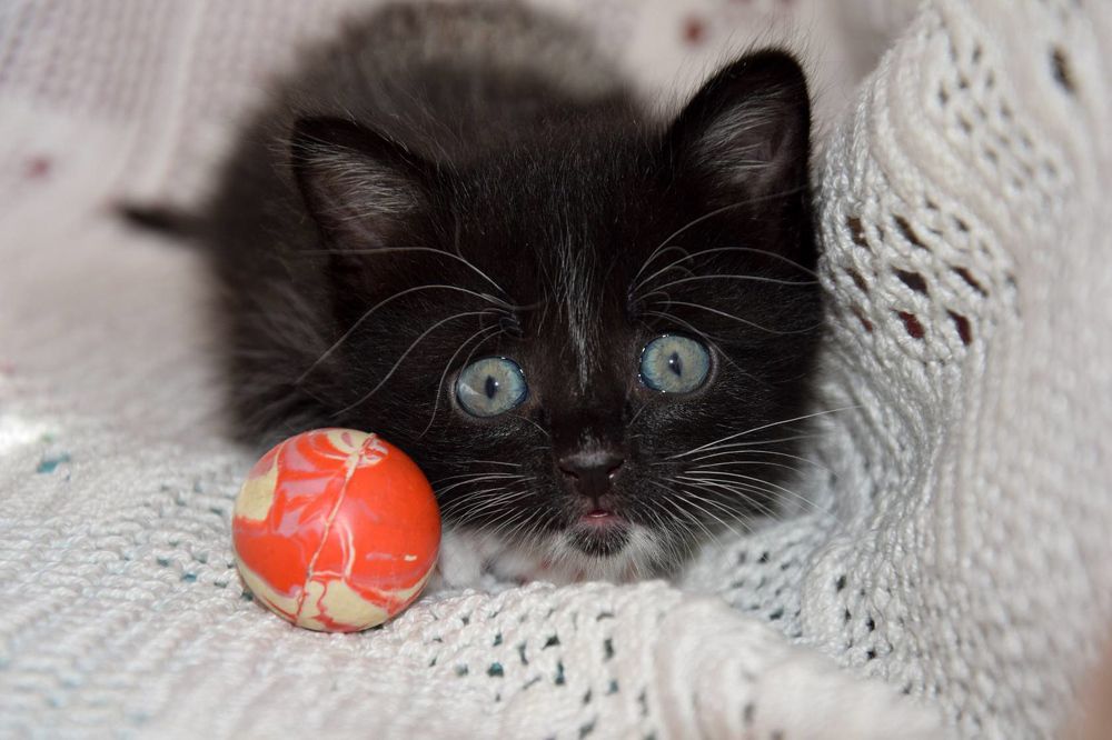 Photograph by Марина Корреа Ластра