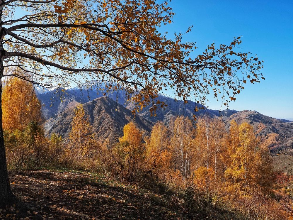 Photograph by Сергей Пермин