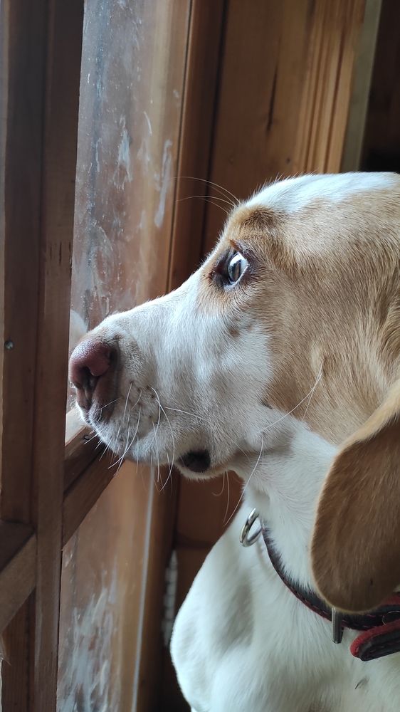 Photograph by Екатерина Колот