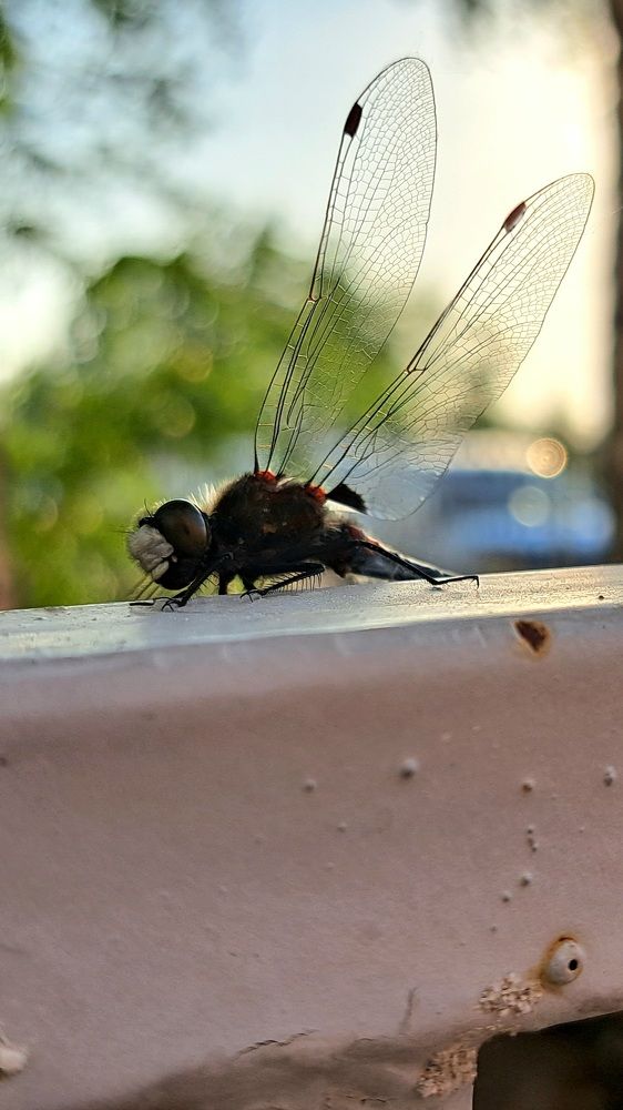 Photograph by Злата Новикова