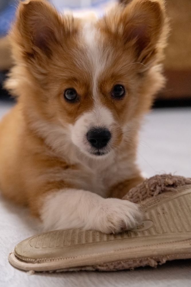 Photograph by Павел Бурдейко