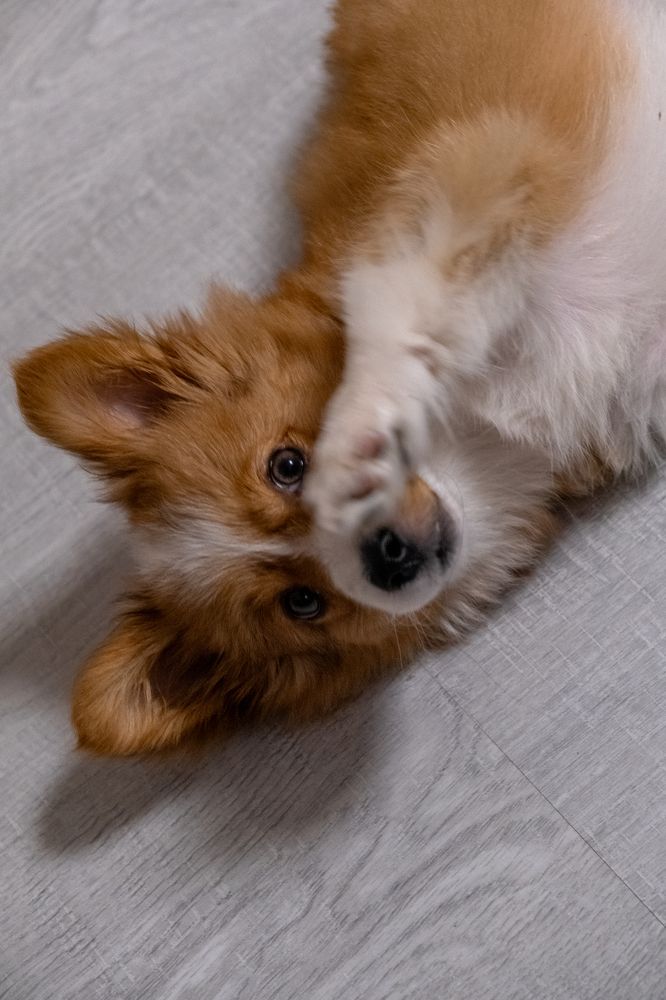 Photograph by Павел Бурдейко