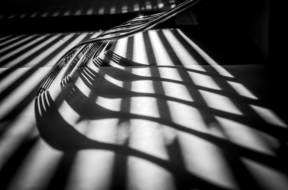 Photograph by 