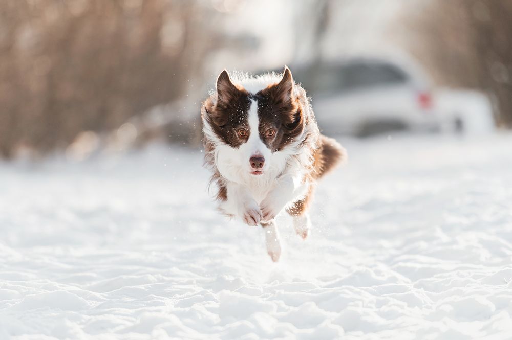 Photograph by Анна Тюрина