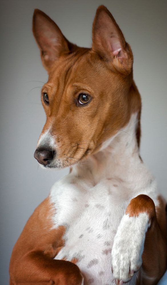 Photograph by Владимир Архипов