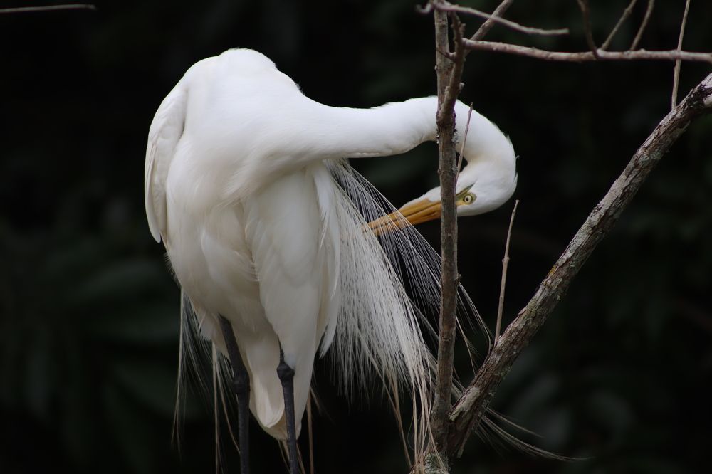 Photograph by Juliana