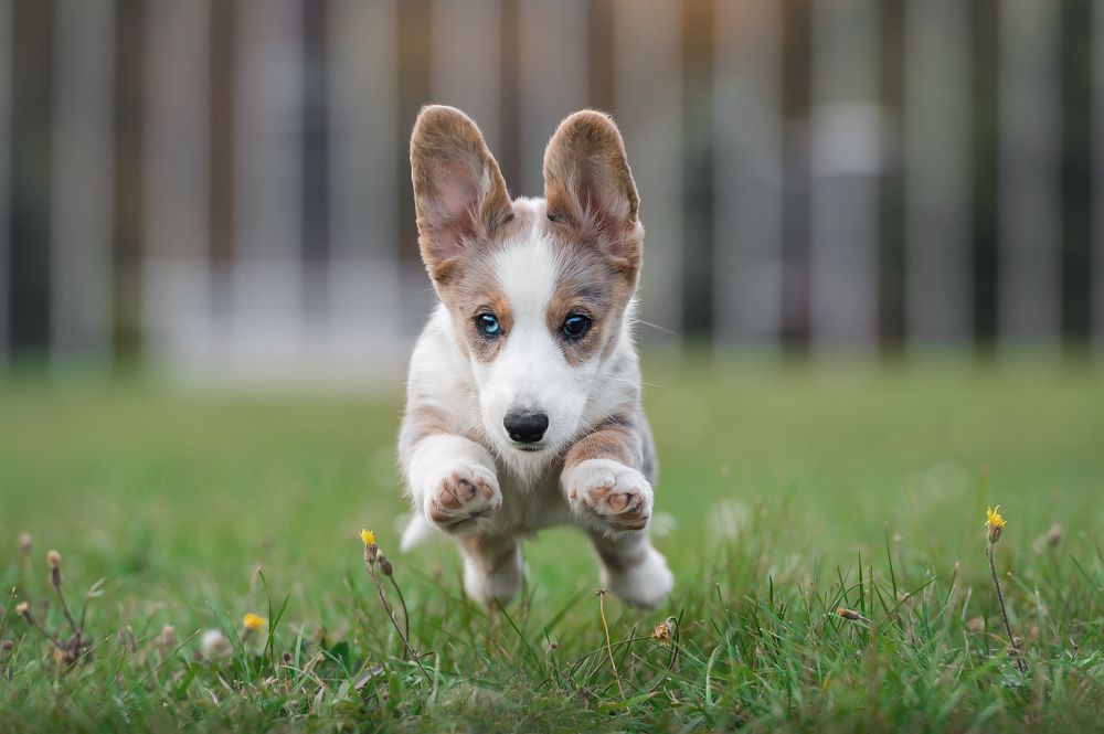 Photograph by Олег