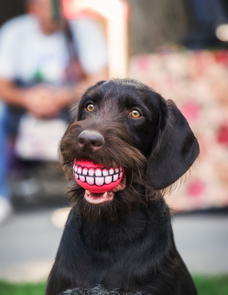 Photograph by Олег