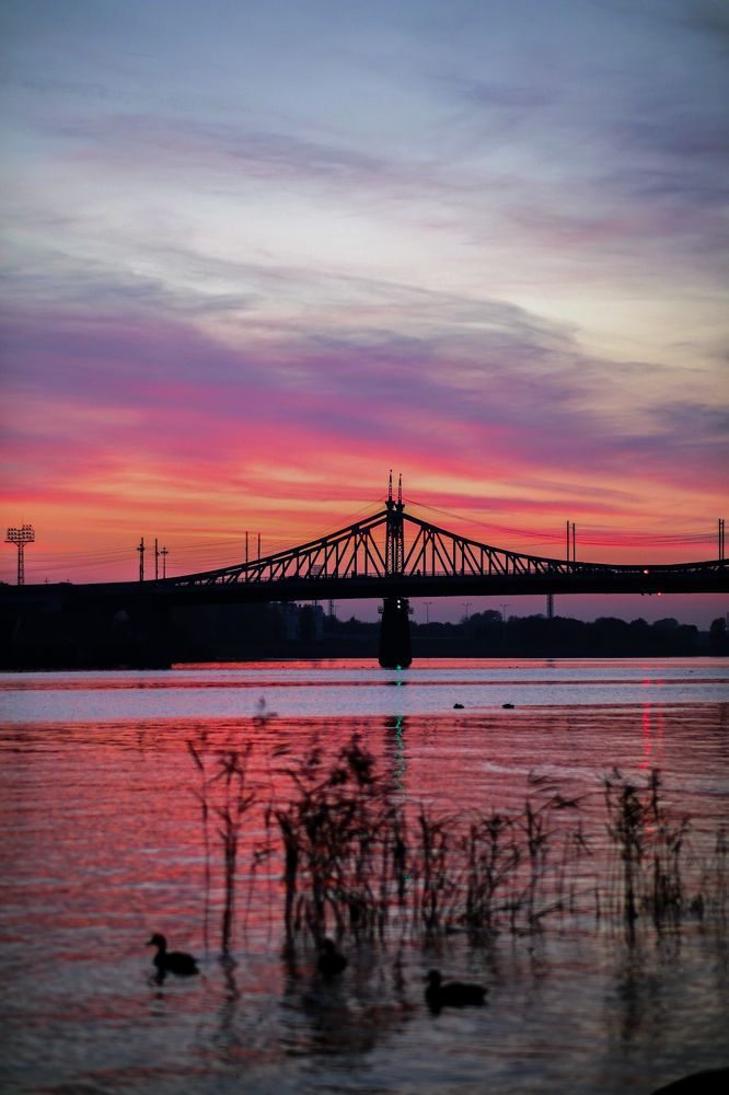 Photograph by Сергей Конюшенко