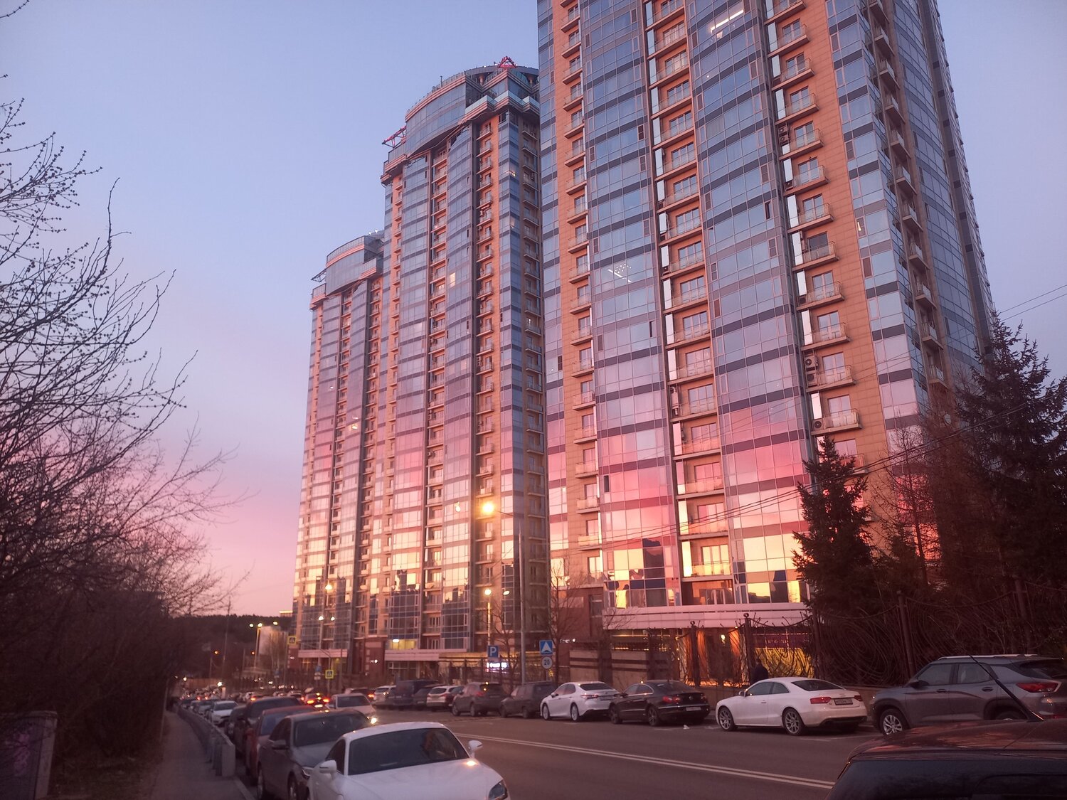 Photo #9813336