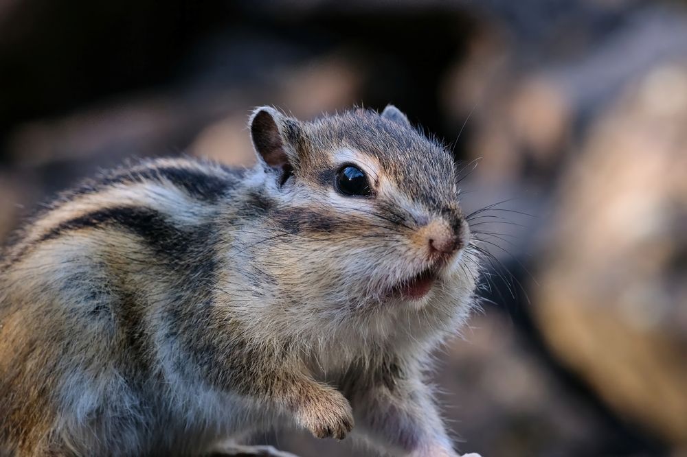 Photograph by Багурский Алексей
