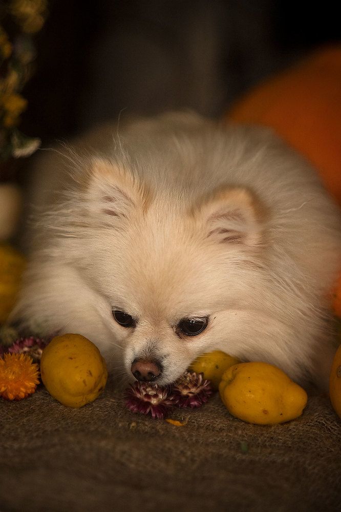 Photograph by Марго Лимп