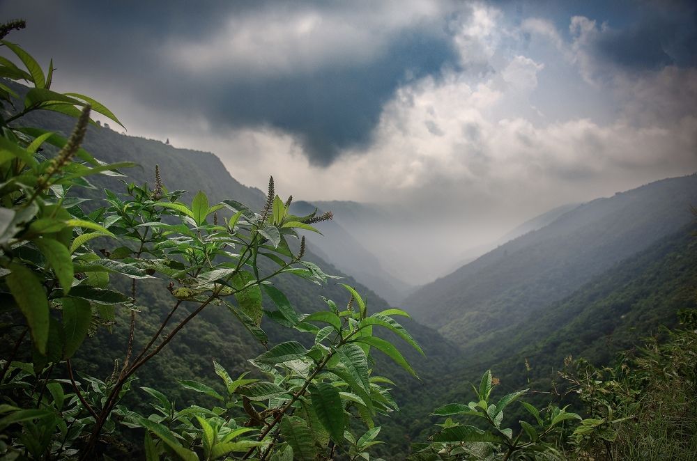 Photograph by Sanhita Bhattacharjee