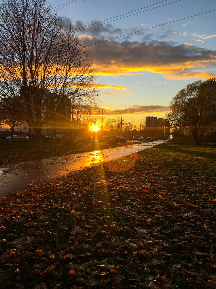 Photograph by Елизавета Большакова