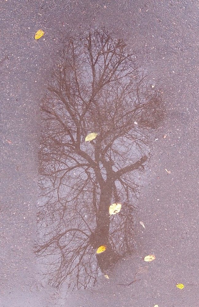 Photograph by Светлана