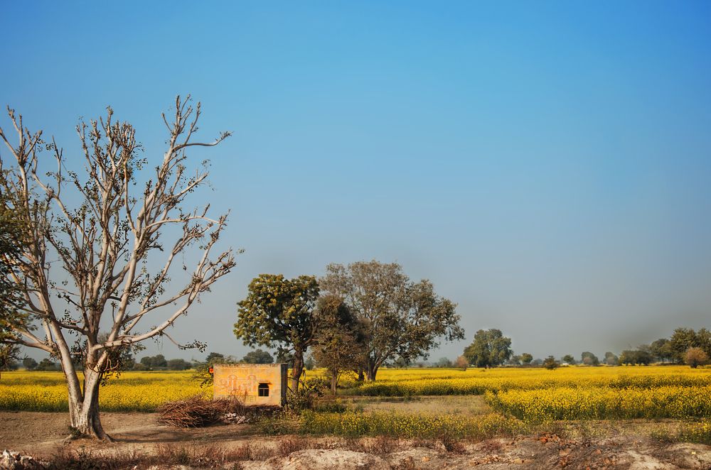 Photograph by Sanhita Bhattacharjee
