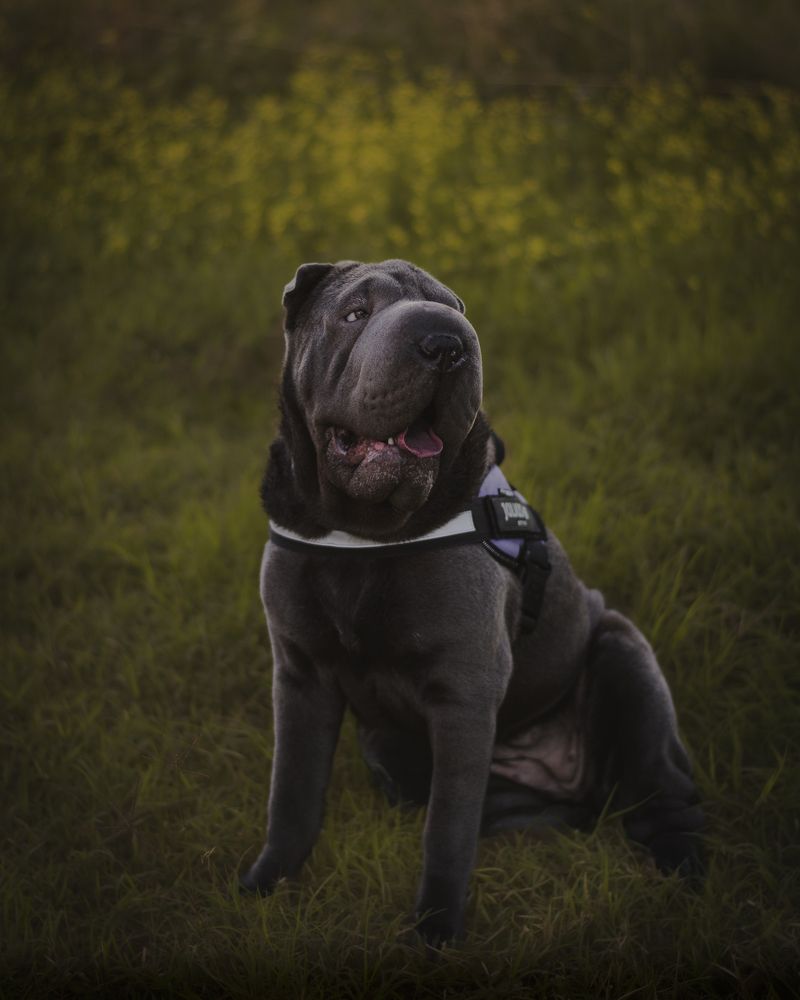 Photograph by Ángel Esteban