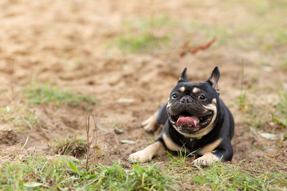 Photograph by Наталья Угрюмова