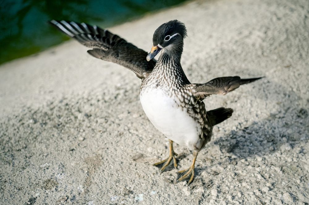 Photograph by Юлия Ковальчук