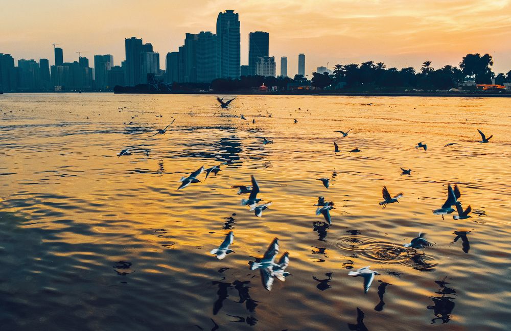 Photograph by Юлия Ковальчук