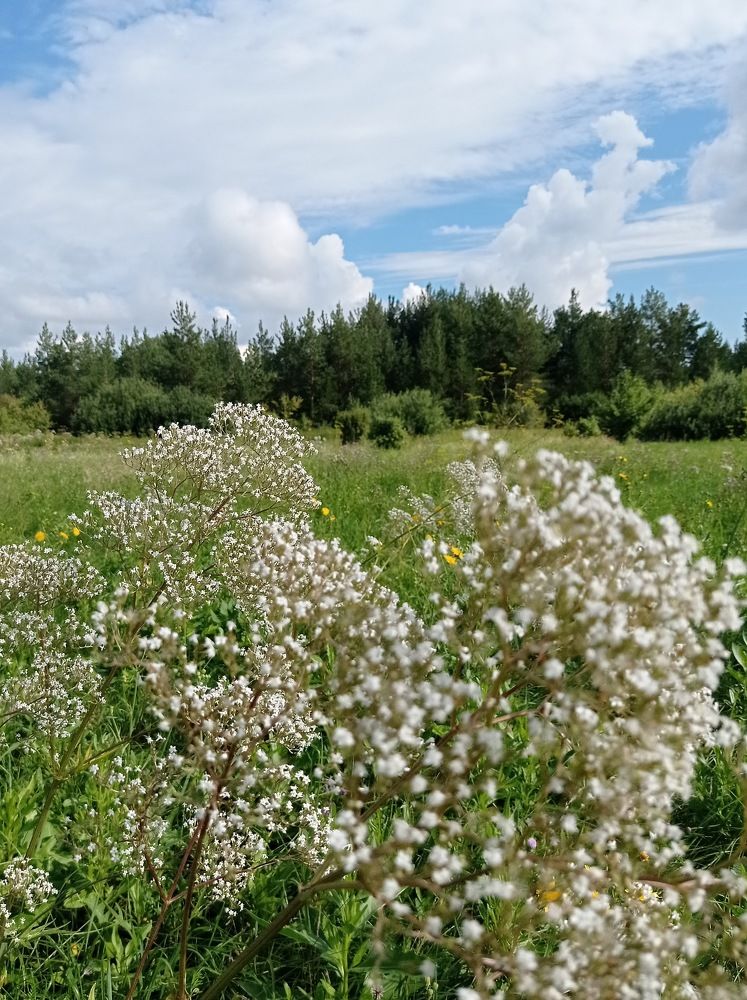 Photograph by Ирина Немкина