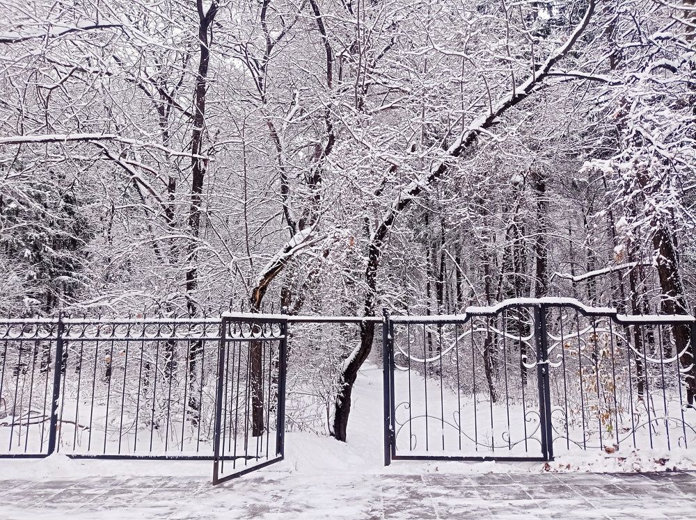 Photograph by Ирина Немкина