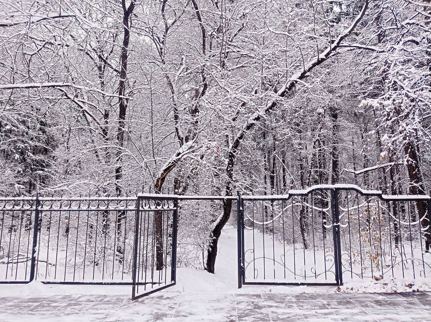 Photo #9813649