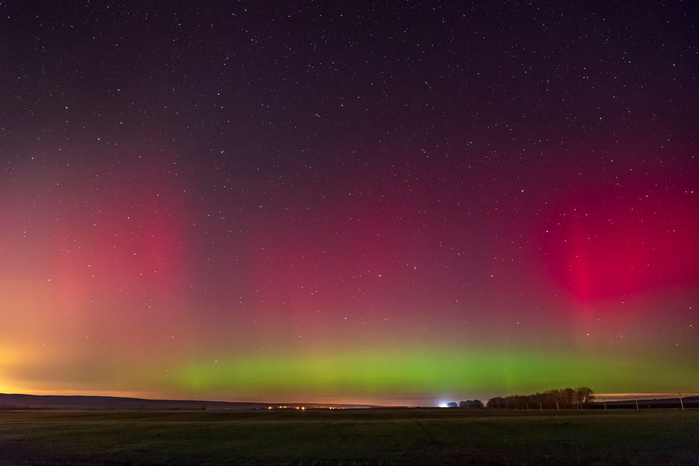 Диво дивное.