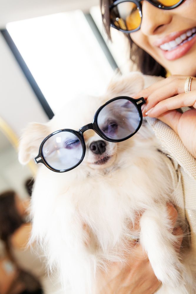 Photograph by Monica Quinta