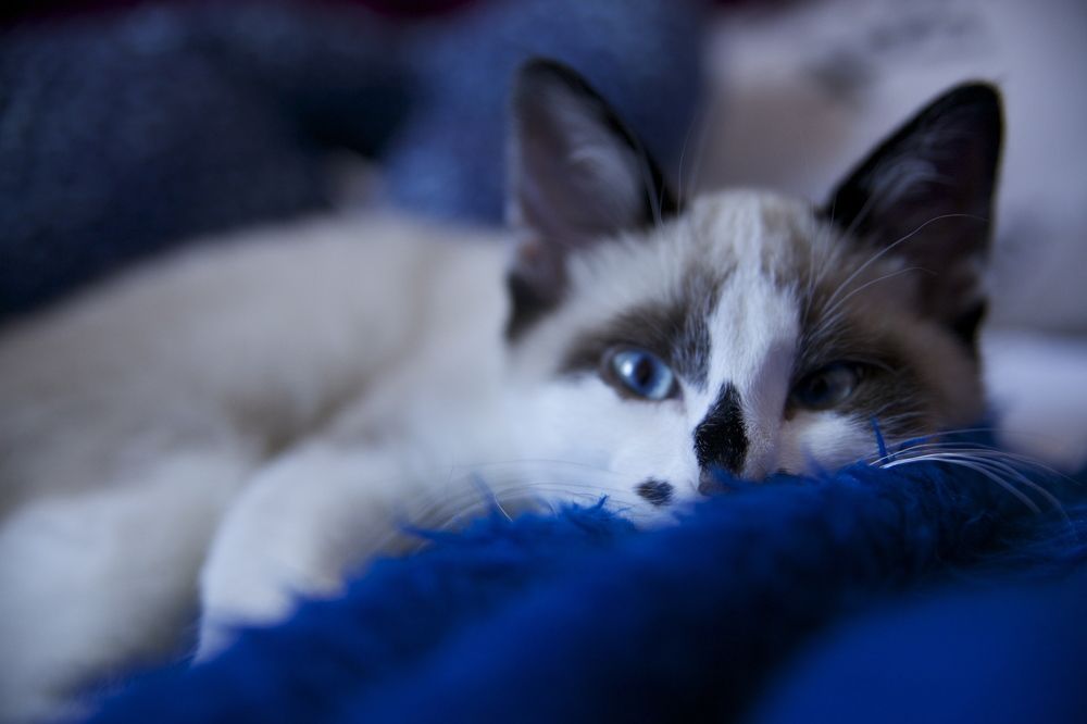 Photograph by Monica Quinta