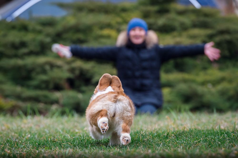 Photograph by Олег Гаричкин