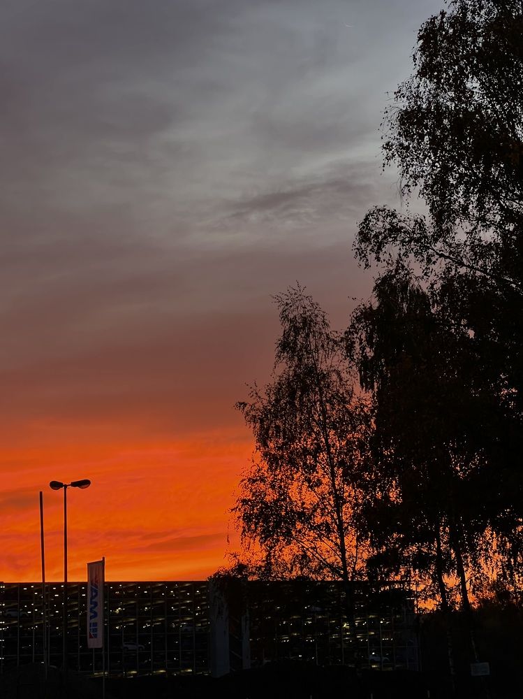 Photograph by Eugenia Schmidt