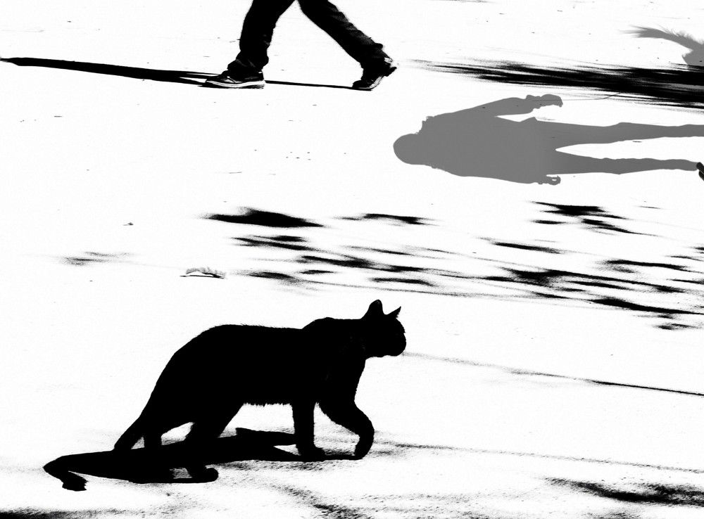 Photograph by Seyfi mahnaz