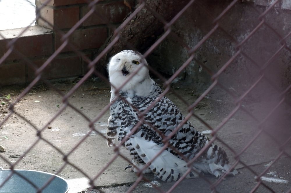 Photograph by Elvira Magsumova