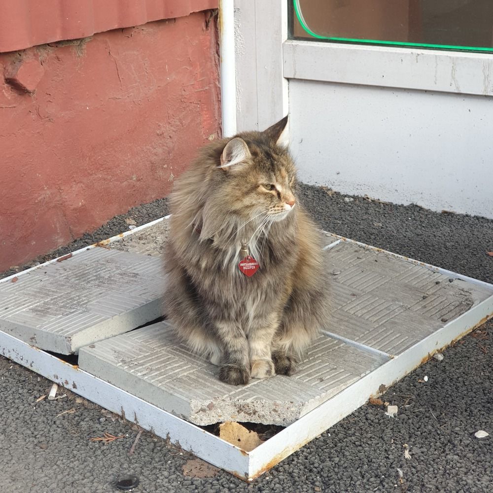 Photograph by Елена