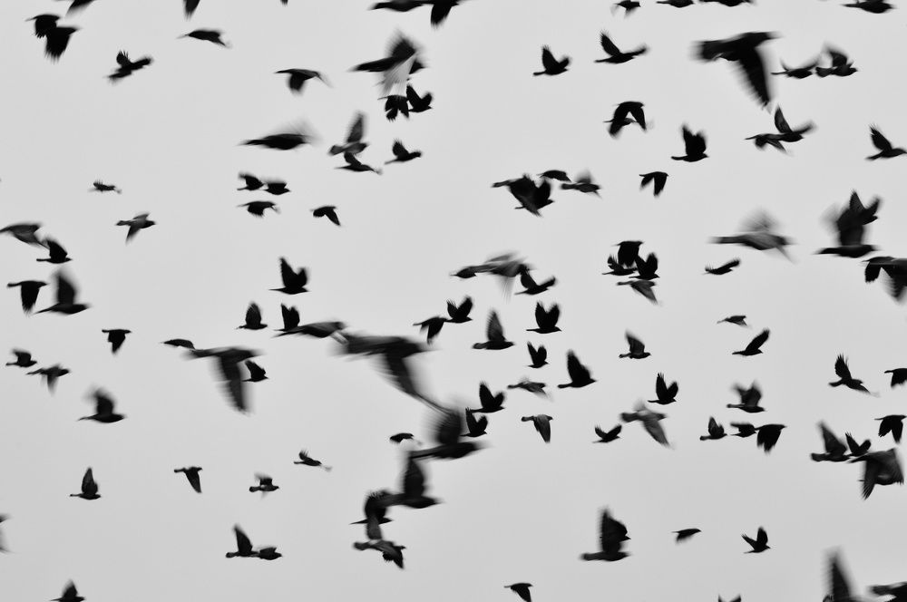 Photograph by Анна Богданова